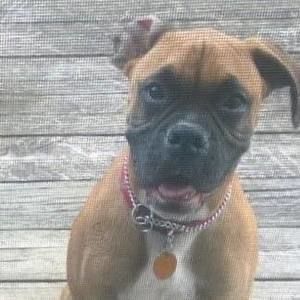 Meet your Posher, Michelle